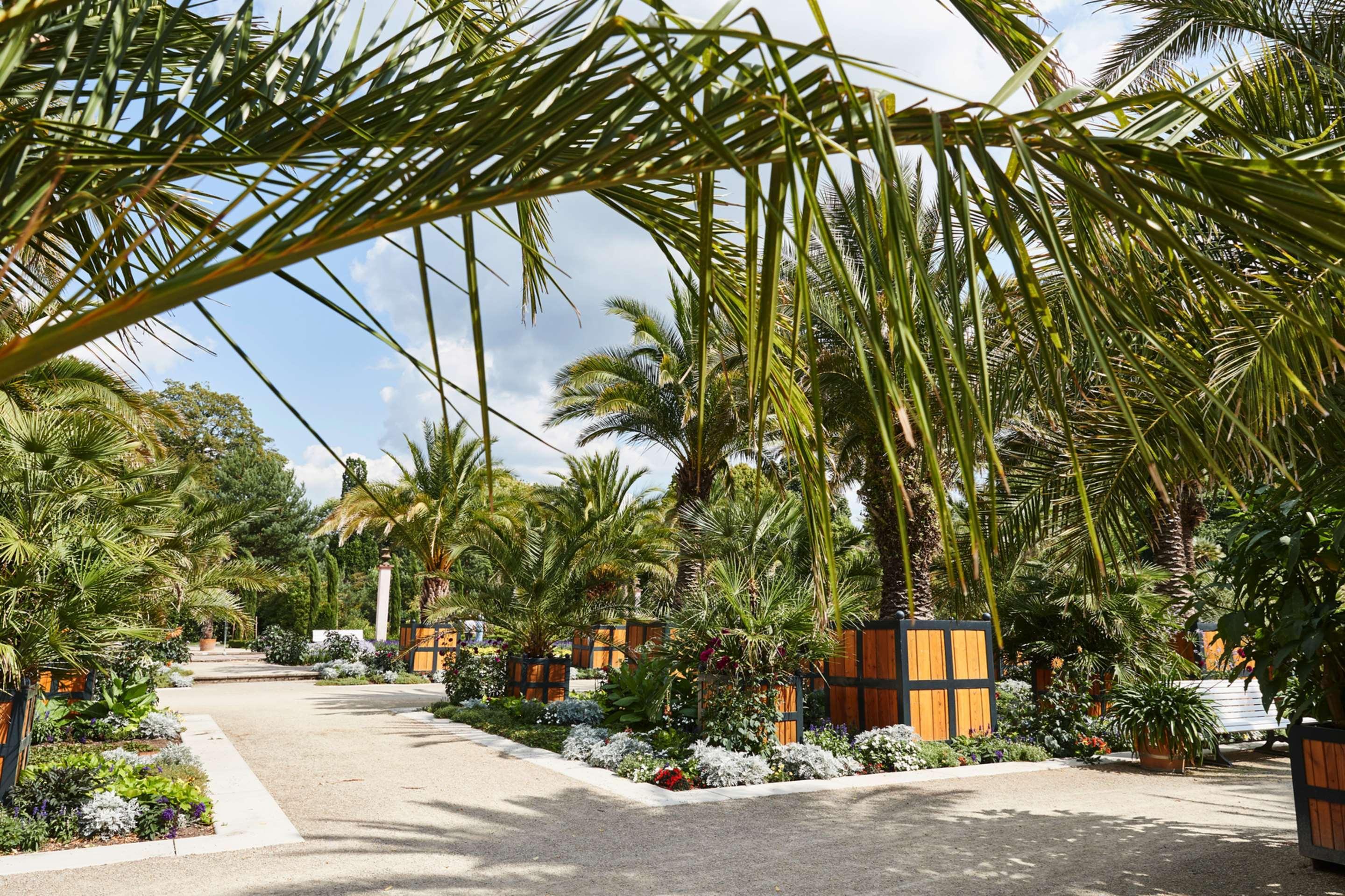 Steigenberger Hotel & Spa Bad Pyrmont Exterior foto The Royal Palm Beach Hotel